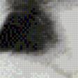 Preview of cross stitch pattern: #570047