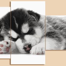 Cross stitch pattern: #570047