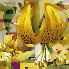 Cross stitch pattern: #570094
