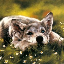 Cross stitch pattern: #570097