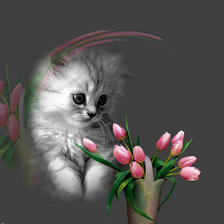 Cross stitch pattern: #570099