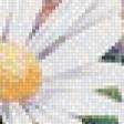 Preview of cross stitch pattern: #570102