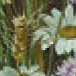 Preview of cross stitch pattern: #570310