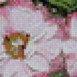 Preview of cross stitch pattern: #570312