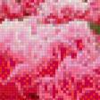 Preview of cross stitch pattern: #570709