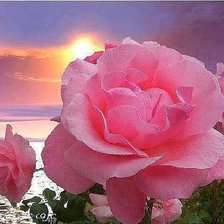 Cross stitch pattern: #570715