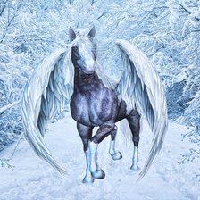 Cross stitch pattern: #570888
