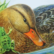 Cross stitch pattern: #572109