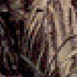 Preview of cross stitch pattern: #572700