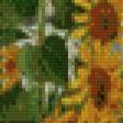 Preview of cross stitch pattern: #573047