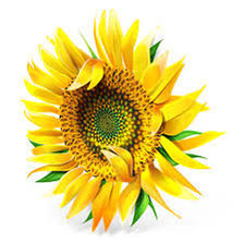 Cross stitch pattern: #573082