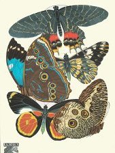 Cross stitch pattern: #573126