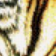 Preview of cross stitch pattern: #573369