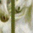 Preview of cross stitch pattern: #573941
