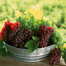 Cross stitch pattern: #574048