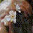 Preview of cross stitch pattern: #574216