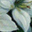 Preview of cross stitch pattern: #574298
