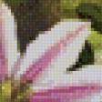 Preview of cross stitch pattern: #574309