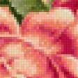 Preview of cross stitch pattern: #574322