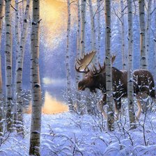 Cross stitch pattern: #574471