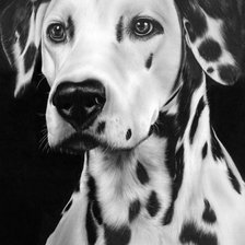 Cross stitch pattern: #574683