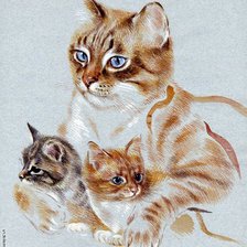 Cross stitch pattern: #574735