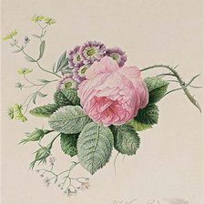 Cross stitch pattern: #574826