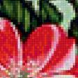 Preview of cross stitch pattern: #574958
