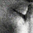 Preview of cross stitch pattern: #575205