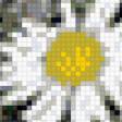 Preview of cross stitch pattern: #575494