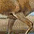 Preview of cross stitch pattern: #576559