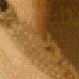 Preview of cross stitch pattern: #576571