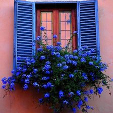 Cross stitch pattern: #576701
