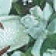 Preview of cross stitch pattern: #576773