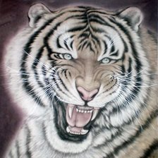 Cross stitch pattern: #577078