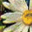 Preview of cross stitch pattern: #577642