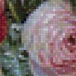 Preview of cross stitch pattern: #578378