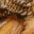 Preview of cross stitch pattern: #578558