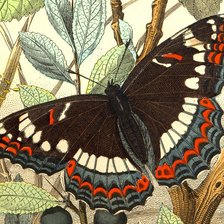 Cross stitch pattern: #578570