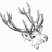 Cross stitch pattern: #578618