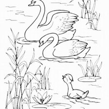 Cross stitch pattern: #578621