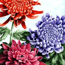 Cross stitch pattern: #578920