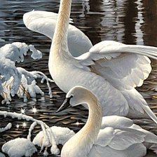 Cross stitch pattern: #579156