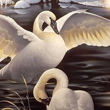 Cross stitch pattern: #579159