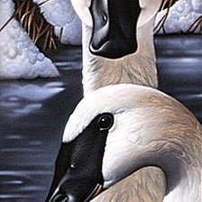 Cross stitch pattern: #579163