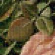 Preview of cross stitch pattern: #580728