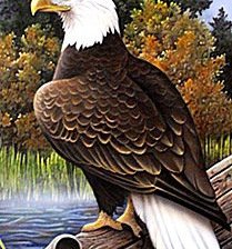 Cross stitch pattern: #580771