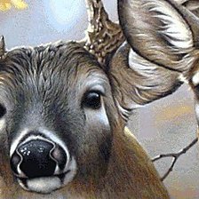 Cross stitch pattern: #580789