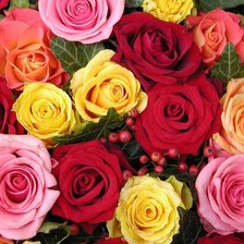 Cross stitch pattern: #581229