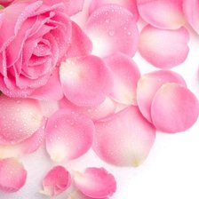 Cross stitch pattern: #581260